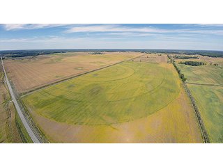 Property photo 12 - REAL ESTATE AUCTION - 230+/- ACRES IN 2 TRACTS IN STARKE COUNTY